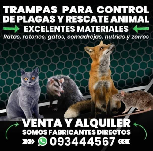 Imagen 7 de 7 de Trampa Para Ratas Y Ratones De Cualquier Tamaño