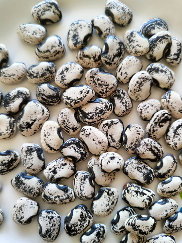 Combas Frijol Comba Semilla Artesanal De Guerrero - 500g.