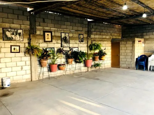 Casa En Venta En San Antonio De Los Bravos, Torreón, Coahuila De Zaragoza