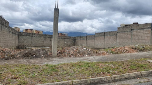 Imagen 4 de 15 de Terreno En Venta Urb. Jardin Mañongo