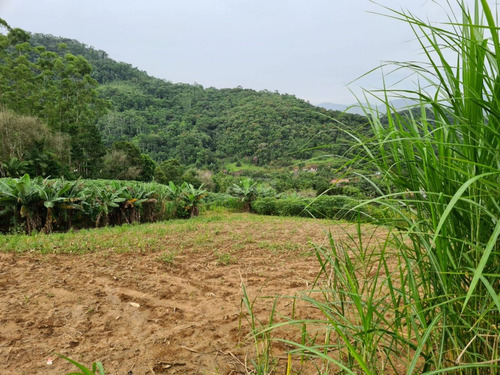 Imagem 12 de 13 de Belíssimo Sítio Localizado Em Pomerode, Bairro Ribeirão Souto, Com Área De 49.000 Metros Quadrados, Nascente De Água Dentro Do Terreno, Casa De Madeira, Galpão, Rancho Para Gado, Totalmente Cercad