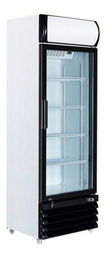 Expositor Vertical 1 Puerta Iccold 370 Ltrs