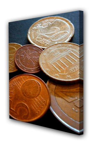 Cuadro Canvas Moneda Dinero Negocio Efectivo M4