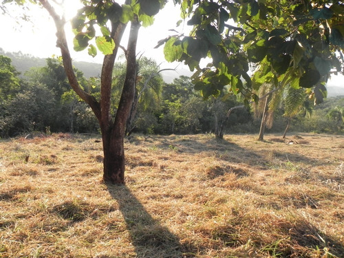 (k.a) Topografia Plana Em Aruja Em Até 48x