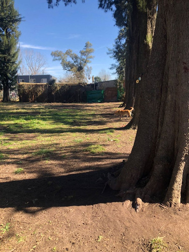 Venta Quinta Con Pileta Gral Rodriguez