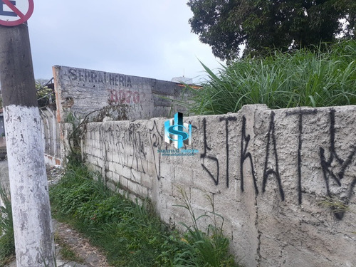 Imagem 1 de 6 de Terreno A Venda Em São Paulo São Miguel Paulista - Te00540 - 70735800