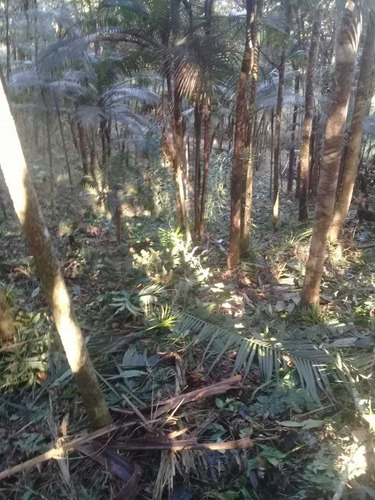 Imagem 2 de 11 de Vendo Linda Chácara Localizada Na Cidade De Juquitiba