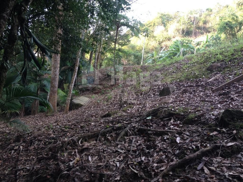 Imagem 12 de 14 de Terreno Para Chácara À Venda Em Canelinha/sc - 1669c