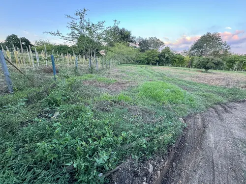 En Venta Lote En Pance