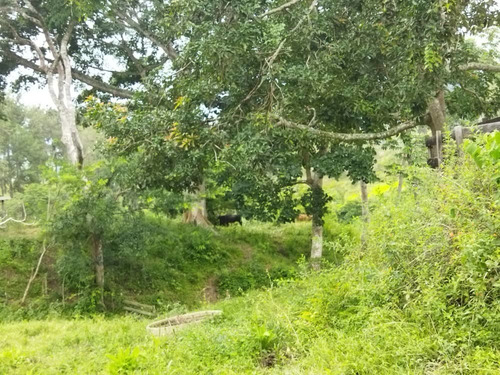 Imagen 13 de 14 de Finca En Venta En Bejuma