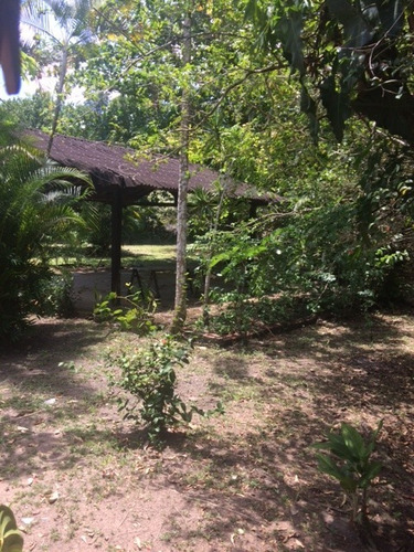 Imagem 3 de 20 de Melhor Área P/loteamento 91m Beira Pista, Granja 5.05 Hec, Guabiraba, Aceito Imóvel Ou Carro - Ch00009