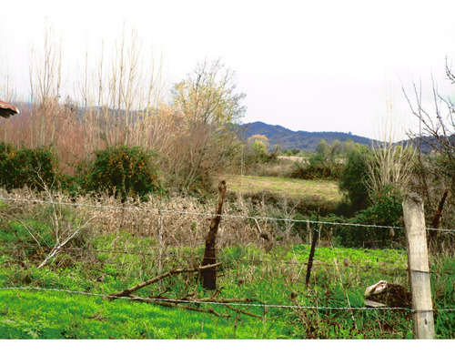 Propiedad Agrícola De Riego Con Derechos De Aguas Río Ñuble