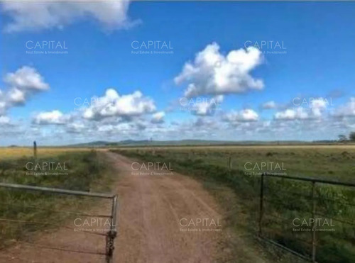 Campo Agrícola-ganadero Rocha