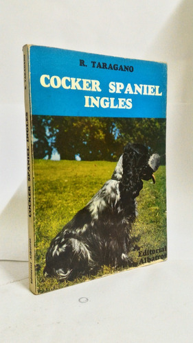 Cocker Spaniel Ingles - R Taragano
