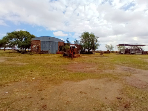 Imagen 4 de 6 de Venta - 516 Ha A 12 Km De Vicuña Mackenna - Ruta 7