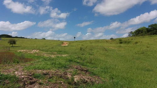 Imagem 18 de 30 de Rancho Com 8 Dormitórios À Venda, 300 M² Por R$ 4.000.000,00 - Sitio São José - Viamão/rs - Ra0001
