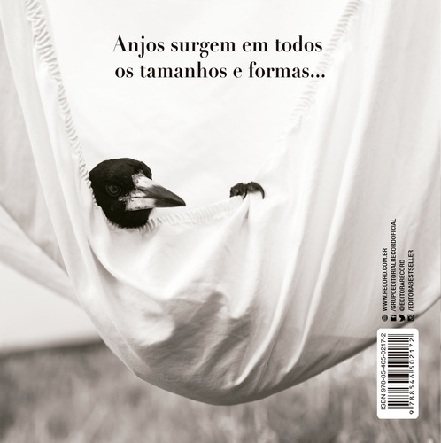 Penguin Bloom: A pequena ave que salvou uma família, de Bloom, Cameron. Editorial Editora Best Seller Ltda, capa mole em português, 2021