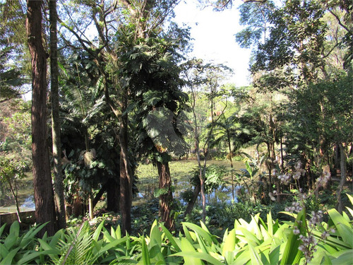 Imagem 10 de 21 de Terreno Dentro Da Chácara Flora - Reo507663