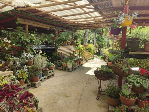 Se Vende Finca En La Clara - Caldas Antioquia