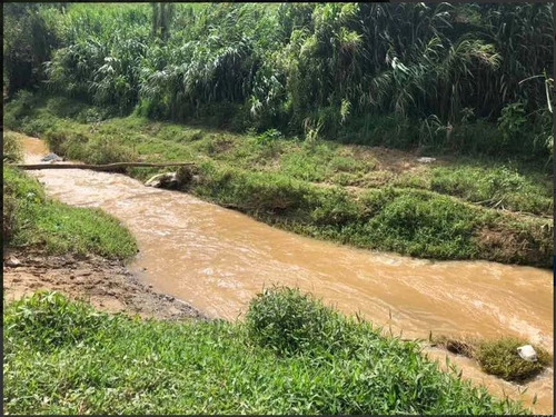 Finca De Oportunidad En Constanza 796 Tareas Con Documentos Al Dia
