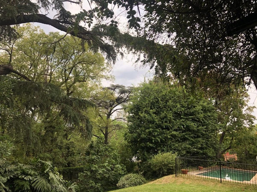 Imagen 19 de 23 de Casa En Venta Vicente Lopez Historica Gran Parque C/pileta