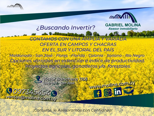 Imagen 1 de 1 de Venta De Campos - Sur Y Litoral Del País!!