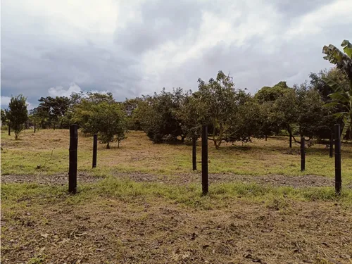 Se Venden Lotes En Quimbaya - Quindío