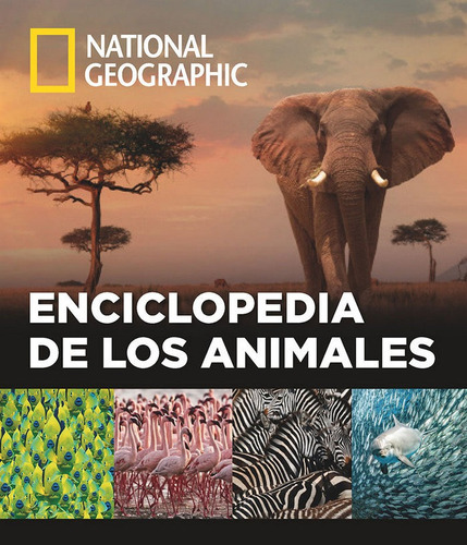 Enciclopedia De Los Animales, De Vários Autores. Editorial National Geographic, Tapa Dura En Español