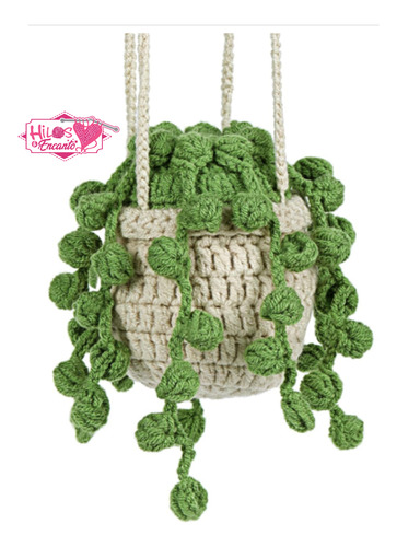 Crochet Kit Suculentas Todo Incluido Diferentes Modelos Diy