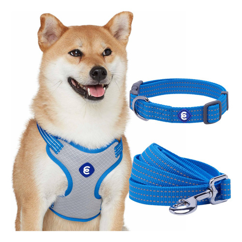 Blueberry Pet Essentials Reflective Better Basics - Juego De