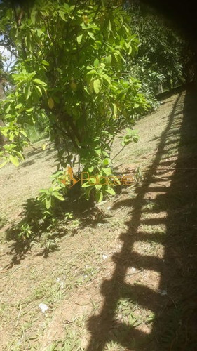 Imagem 4 de 16 de Rural Chacara Com 2 Quartos - 149329-v