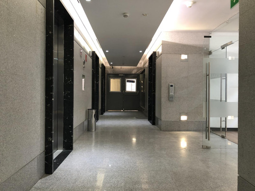 Oficina En Renta -reforma  Piso 3- 501 M2