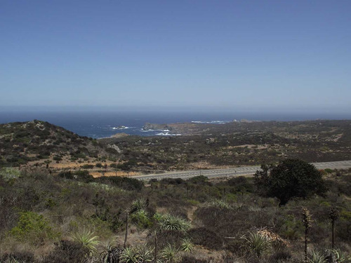 Oportundiad Venta Parcela,los Molles. (91383)