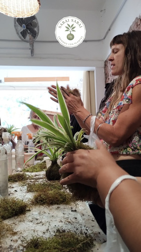 Taller De Kokedamas