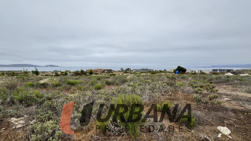 Sitio En Condominio Las Mostazas, Guanaqueros
