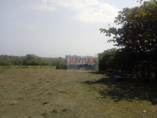 Imagem 19 de 23 de Sítio Com 2 Dormitórios À Venda, 2,24 Alqueires Por R$ 410.000 - Zona Rural - Conchas/sp - Si0011