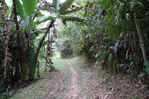 Imagem 4 de 15 de Area - Assuncao - Ref: 2837 - V-5021