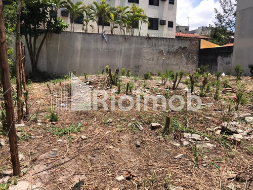 Imagem 3 de 3 de Terreno - Ref: 5483