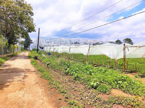 Imagen 4 de 14 de Terreno Para Fraccionamiento O Rancho, Agua Abundante, Frent