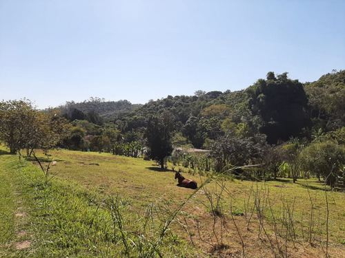 Imagem 10 de 19 de Chácara À Venda Com Lago Em Juquitiba Perfeita Para Moradia 20.000 M²