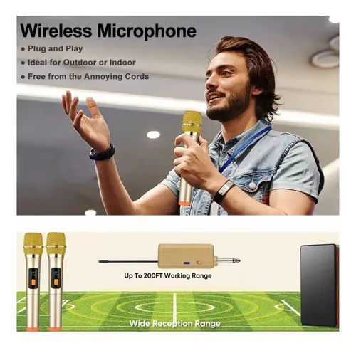 Micrófono Inalámbrico Profesional Wg100 Con Receptor Uhf