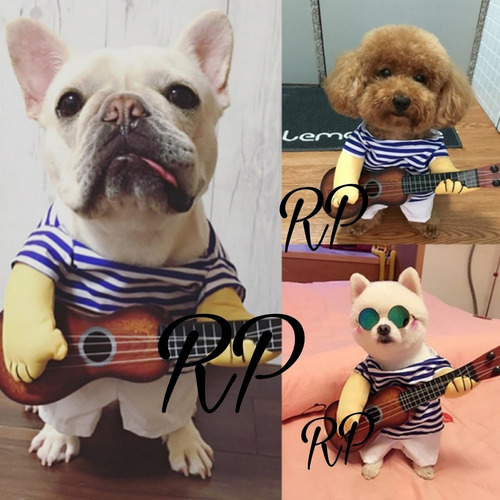Disfraz De Coco Con Guitarra Para Mascotas.talla Estándar M