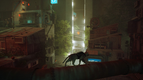 Stray | Steam | Pc | Digital