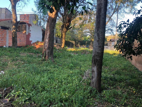 Imagen 5 de 6 de Vendo Terreno En Lambare