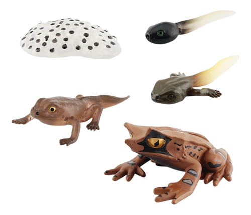 3 Figuritas De Animales Realistas Modelo De De Ranas Estilo
