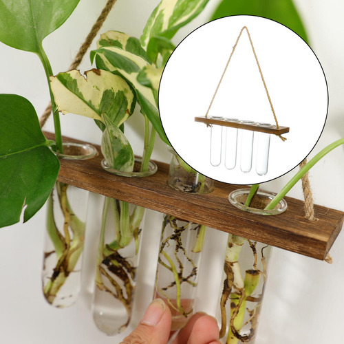 Planta Hidropónica Colgante Florero 1 Tubo De 1 Tubos