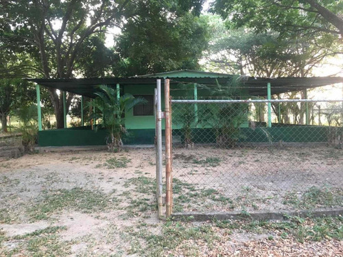 Imagen 8 de 19 de En Venta Finca De 50 Hectáreas, Ubicada En El Estado Ciojede