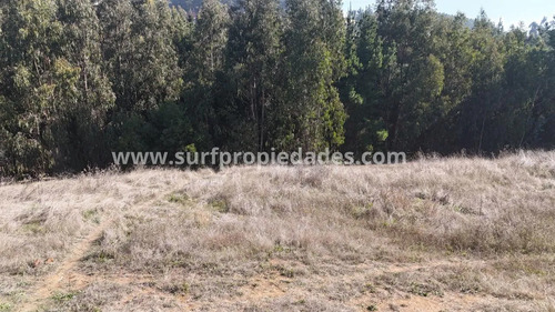 Se Venden Dos Sitios De 870 Mt2 En Pichilemu
