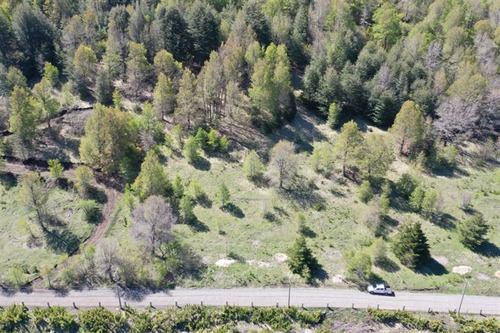 Terreno 5.000 M2 En Condominio La Helvetia, Malalcahuello
