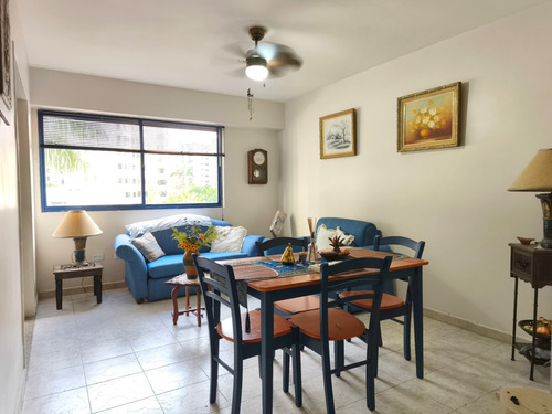Amoblado! En Alquiler Apartamento Tipo Estudio En Los Mangos, Res. Minotaure Palace Luz Coelho